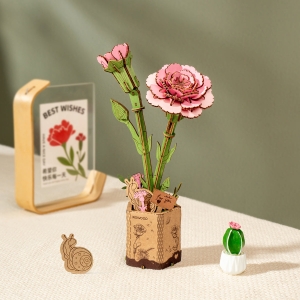 Pink Carnation