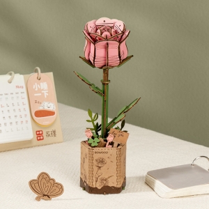 Pink rose