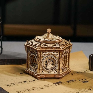 Secret Garden DIY Mechanical Music Box AMK52