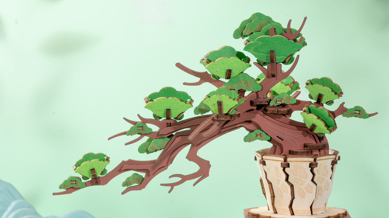 Rolife Evergreen Pine Bonsai DIY 3D-träpussel TG510